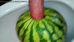 Me sexing melon both
